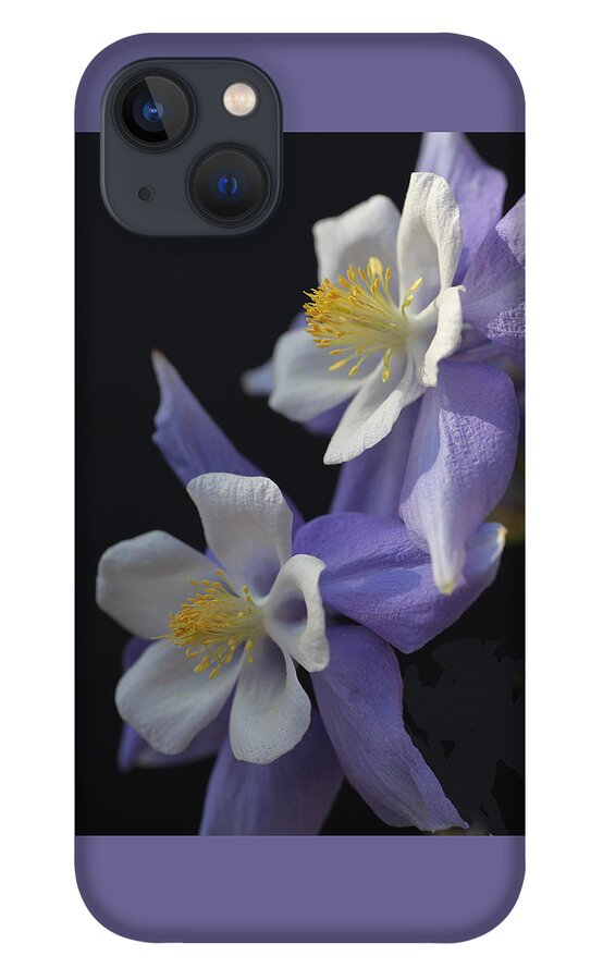 Blue iPhone 13 Case featuring the photograph Blue Swan Columbine by Tammy Pool