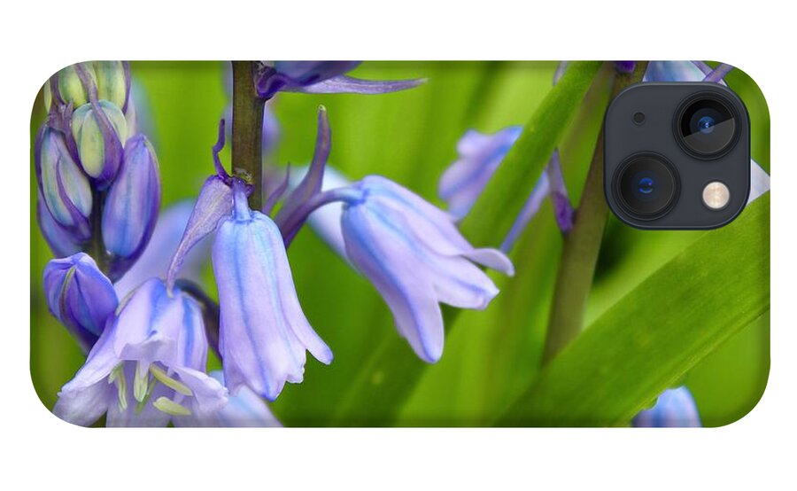 Photography iPhone 13 Case featuring the photograph Bluebell Beautiful Blooms by M E
