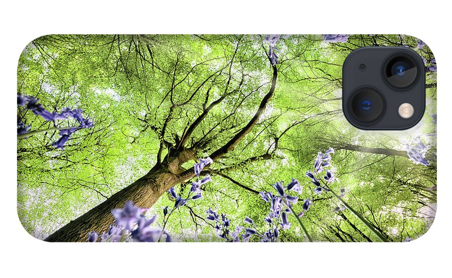 Flowers iPhone 13 Case featuring the photograph Bluebells from worms eye view by Simon Bratt