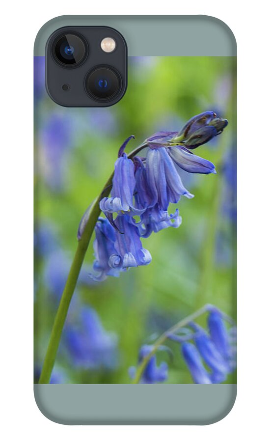 Nature iPhone 13 Case featuring the photograph Bluebells by Wendy Cooper