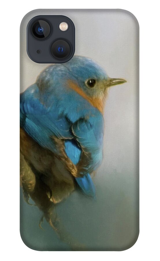 Eastern iPhone 13 Case featuring the photograph Bluebird by Lana Trussell