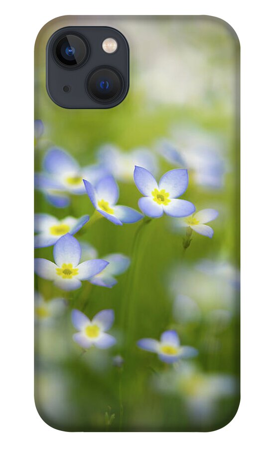 Blue iPhone 13 Case featuring the photograph Bluets by Kim Carpentier