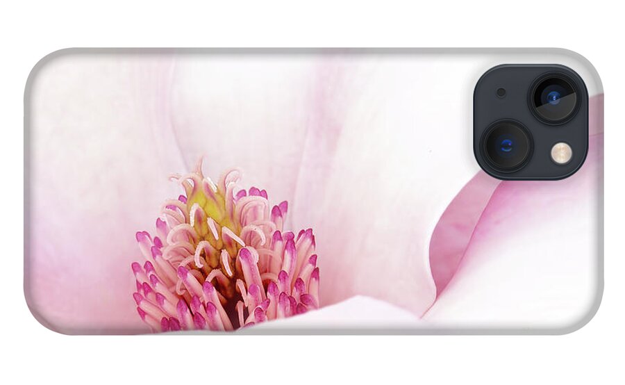Magnolia iPhone 13 Case featuring the photograph Blushing Magnolia by Anita Pollak