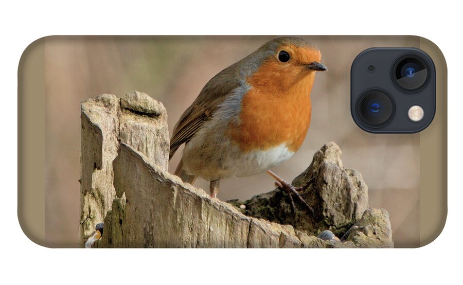 Bird iPhone 13 Case featuring the photograph Bobbin Robin by Stephen Melia