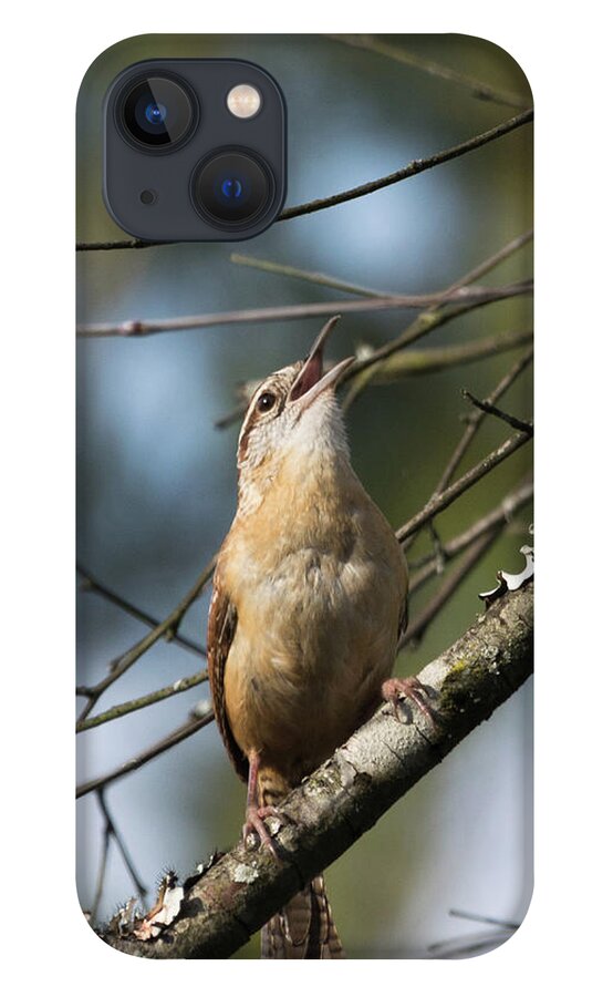 Bird iPhone 13 Case featuring the photograph Bobolink Singing by John Benedict