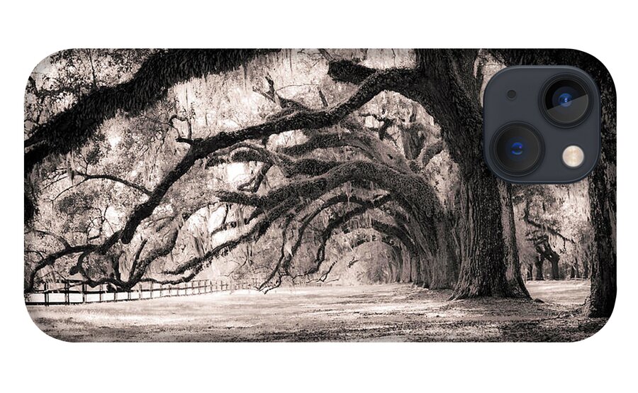 Boone Hall iPhone 13 Case featuring the photograph Boone Hall Plantation Live Oaks by Dustin K Ryan
