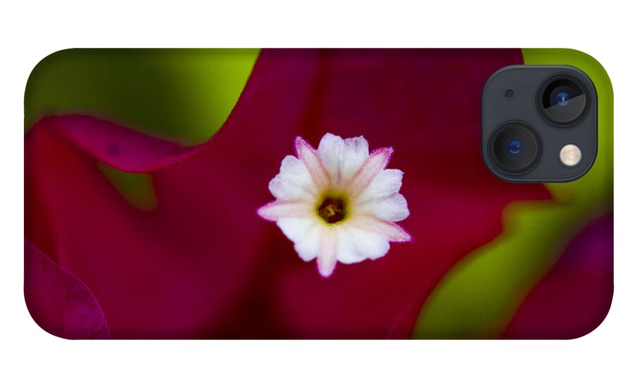 Bougainvillea iPhone 13 Case featuring the photograph Bougainvillea by Marlo Horne
