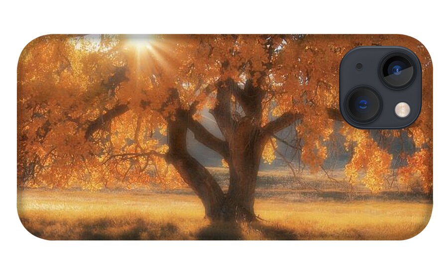 Western iPhone 13 Case featuring the photograph Boxelder's Autumn Tree by Amanda Smith