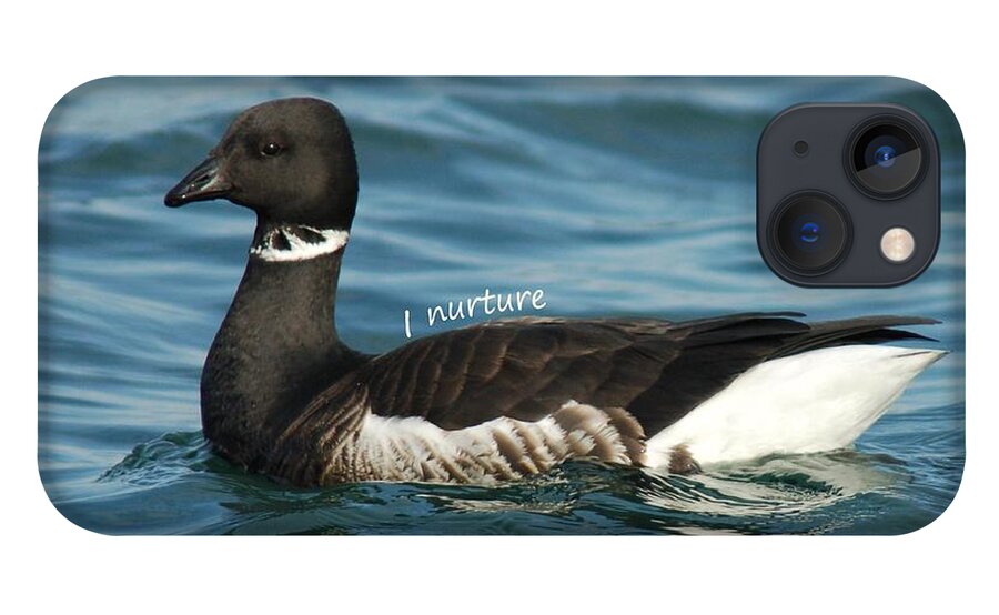  iPhone 13 Case featuring the photograph Brant says I Nuture by Sherry Clark