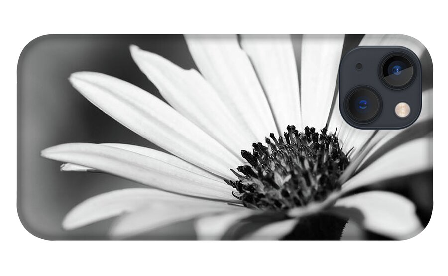 Black And White iPhone 13 Case featuring the photograph Bright Petals by Mary Anne Delgado
