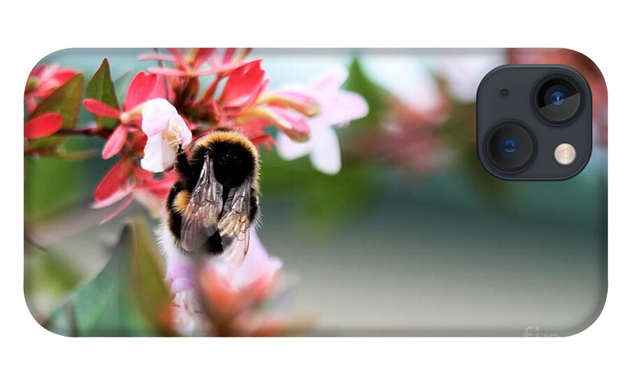 Pretty iPhone 13 Case featuring the photograph Bumble Bee Love by Tracey Lee Cassin