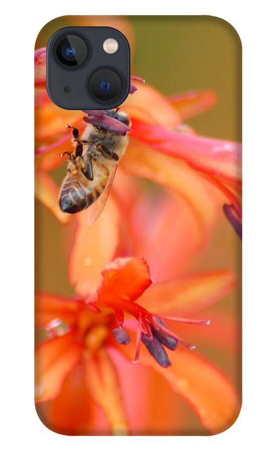 Bee iPhone 13 Case featuring the photograph Busy Bee by Amy Fose
