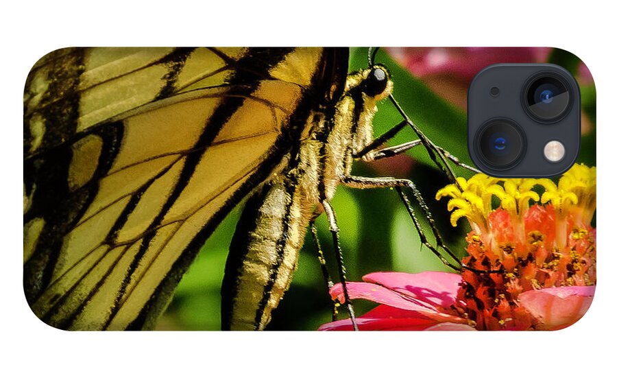 Butterfly iPhone 13 Case featuring the photograph Butterfly and Zinnia by John Roach