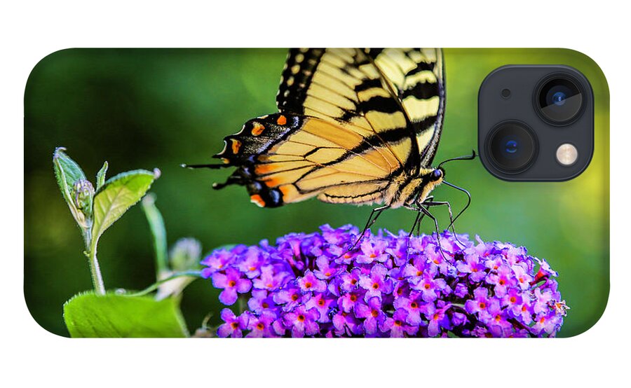 Butterfly iPhone 13 Case featuring the photograph Butterfly Magic by Dale R Carlson