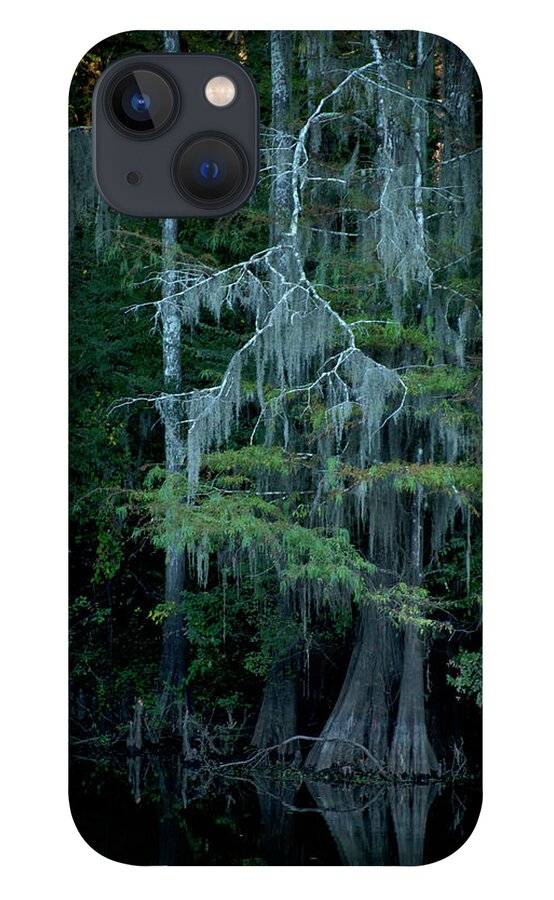 Bayou Trees iPhone 13 Case featuring the photograph Caddo Lake #4 by David Chasey