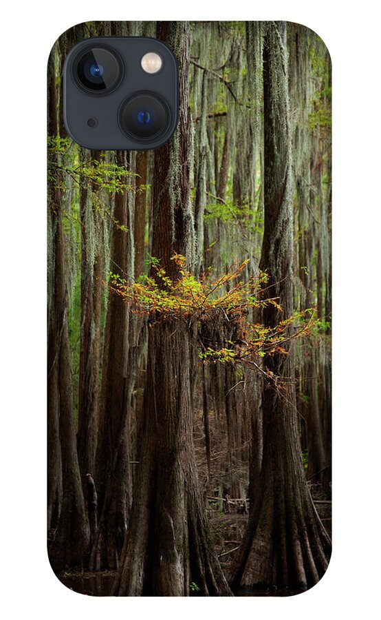 Swamp Trees iPhone 13 Case featuring the photograph Caddo Lake #5 by David Chasey