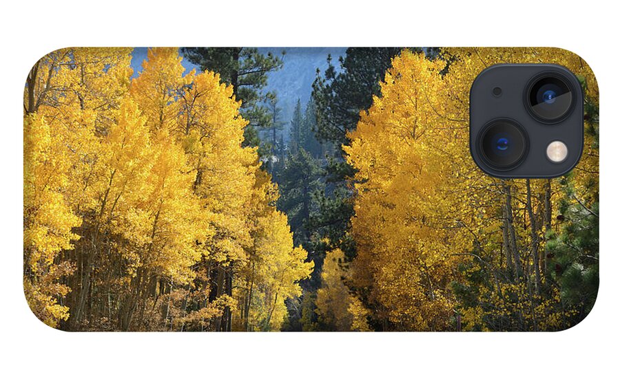 Autumn iPhone 13 Case featuring the photograph California Gold by Brian Tada