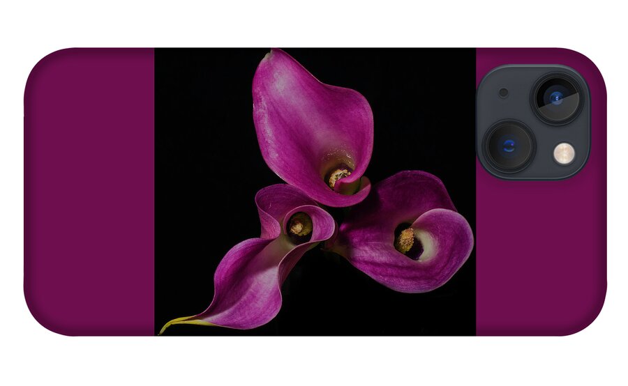 Lily iPhone 13 Case featuring the photograph Calla Lilies #1 by John Roach