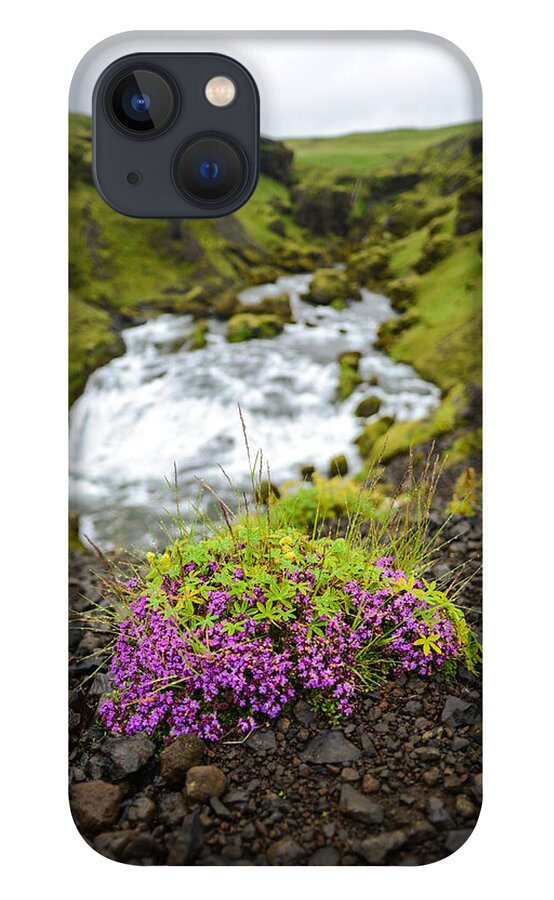 Cascade iPhone 13 Case featuring the photograph Campion on the Fimmvorduhals by Alex Blondeau