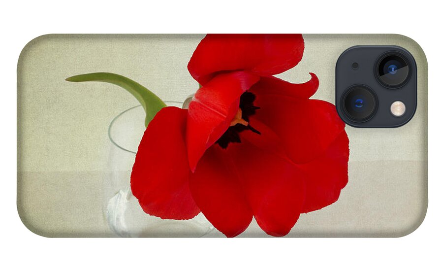 Red Tulip iPhone 13 Case featuring the photograph Carmen by Marina Kojukhova