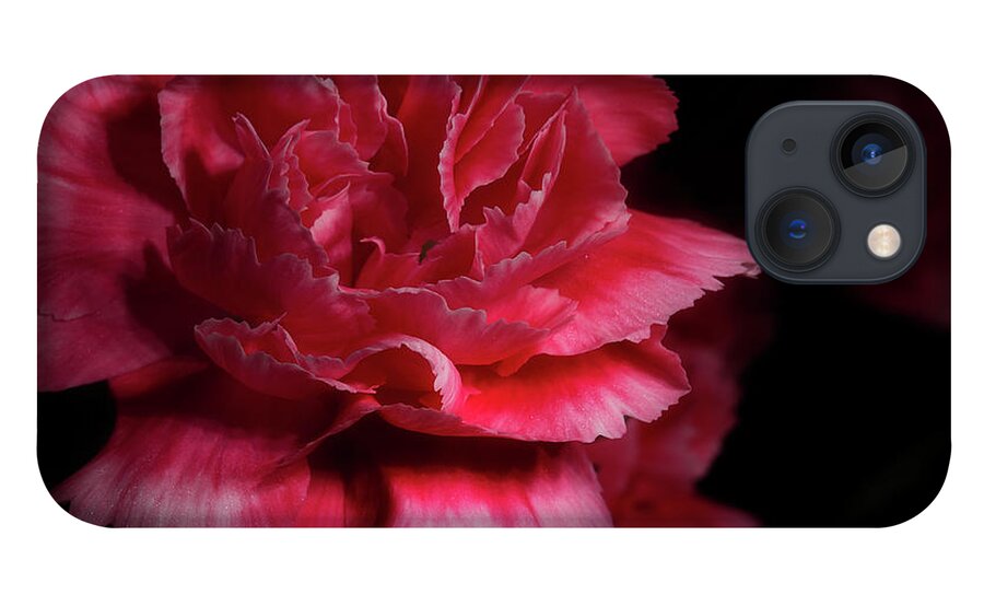 Carnation iPhone 13 Case featuring the photograph Carnation Series 5 by Mike Eingle