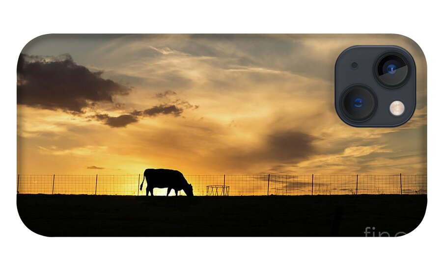 Cow iPhone 13 Case featuring the photograph Cattle Sunset Silhouette by Jennifer White