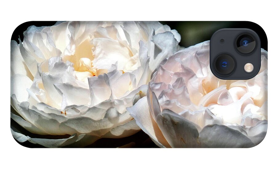 Rose iPhone 13 Case featuring the photograph Caught the Sun by Humphrey Isselt