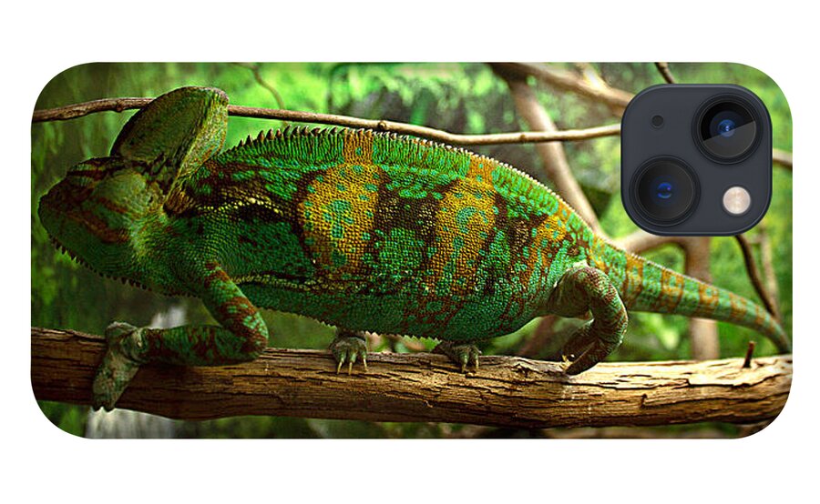 James Smullins iPhone 13 Case featuring the photograph Chameleon by James Smullins