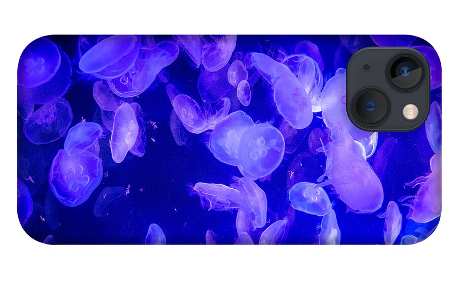 Jellyfish iPhone 13 Case featuring the photograph Chaotic by Frank Mari