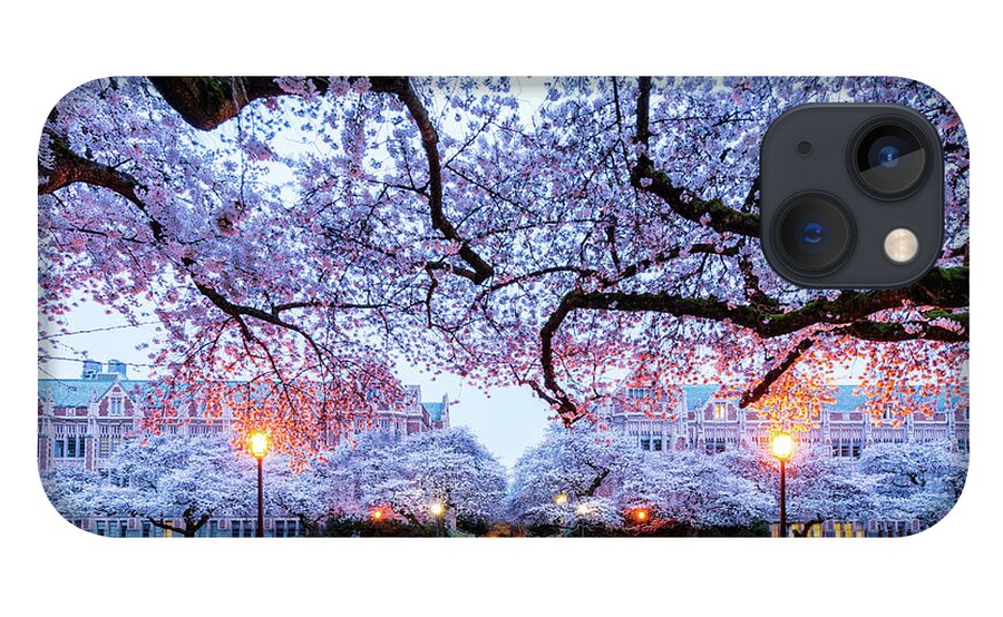 Cherry; Blossom; University Of Washington; Uw Squad; Spring; Twilight; iPhone 13 Case featuring the digital art Cherry Blossom at UW Squad by Michael Lee