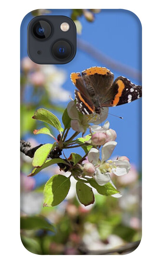 Butterfly iPhone 13 Case featuring the photograph Monarch Butterfly on Cherry Tree by Tatiana Travelways