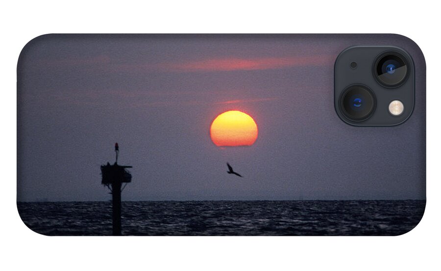 Sea iPhone 13 Case featuring the photograph Chesapeake Bay Osprey 14O by Gerry Gantt