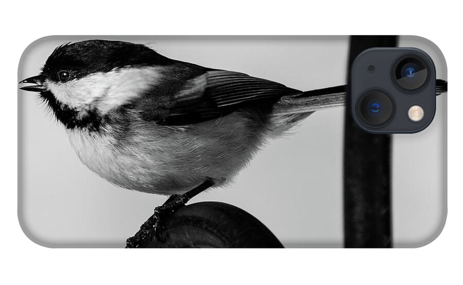 Bird iPhone 13 Case featuring the photograph Chickadee by Darryl Hendricks