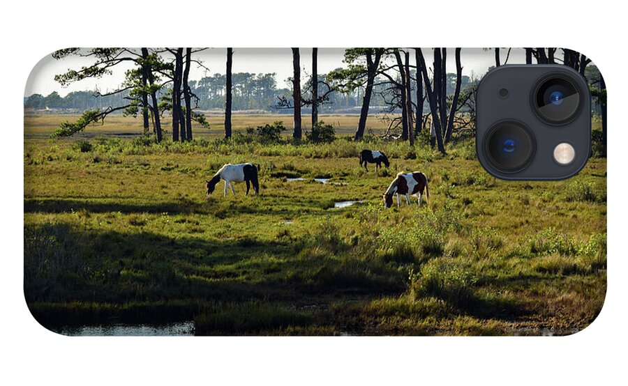 Chincoteague iPhone 13 Case featuring the photograph Chincoteague Ponies by Nicole Lloyd