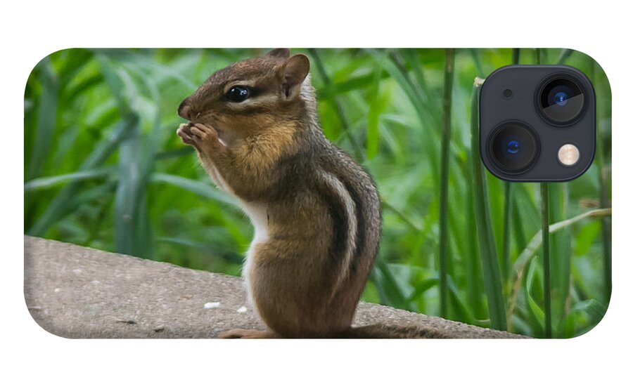 Chipmunk iPhone 13 Case featuring the photograph Chipmunk by Holden The Moment