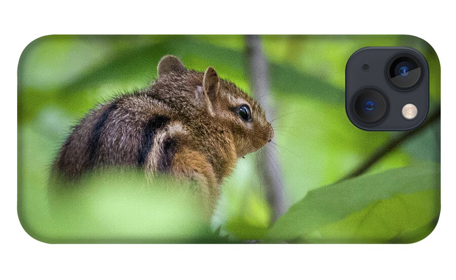 Dunbar Cave State Park iPhone 13 Case featuring the photograph Chipmunk by John Benedict