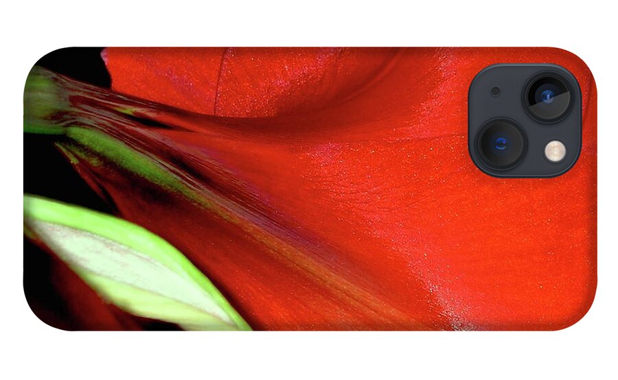 Amaryllis iPhone 13 Case featuring the photograph For The Love Of Red by James Temple