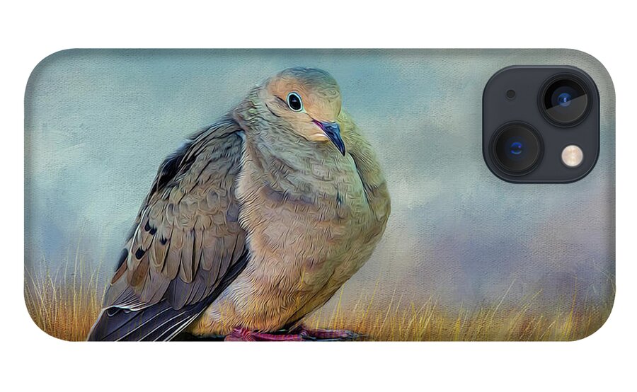 Dove iPhone 13 Case featuring the photograph Chubby Dove by Cathy Kovarik