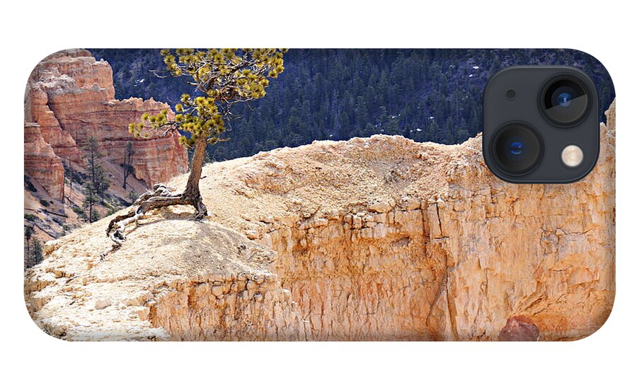 Photography iPhone 13 Case featuring the photograph Clinging to the Top of the Wall by Larry Ricker