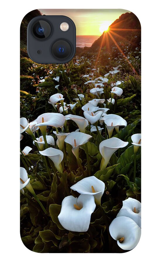 Big Sur iPhone 13 Case featuring the photograph Coastal Calla Lilies by Ryan Smith