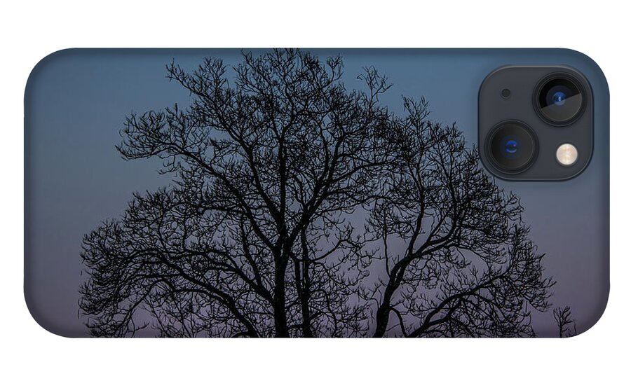 Pink iPhone 13 Case featuring the photograph Colorful Subtle Silhouette by Darryl Hendricks