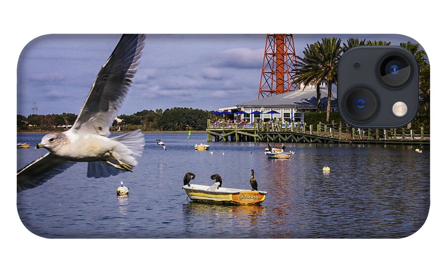 Ahingas Sitting On A Boat iPhone 13 Case featuring the photograph Coming In For A Landing #2 by Mary Lou Chmura