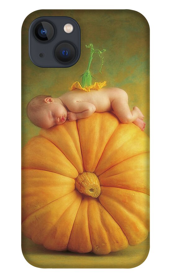 Fall iPhone 13 Case featuring the photograph Country Pumpkin by Anne Geddes