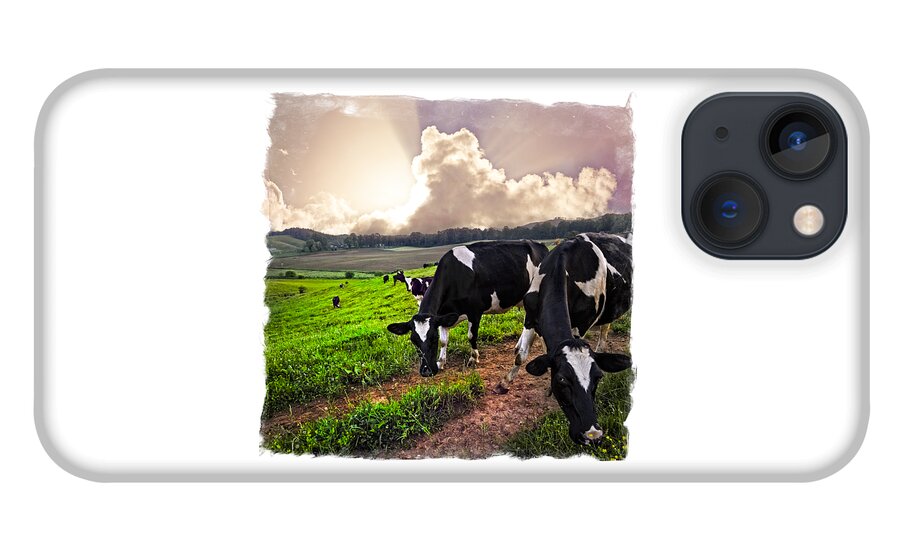 Agriculture iPhone 13 Case featuring the photograph Cows at Sunset Bordered by Debra and Dave Vanderlaan