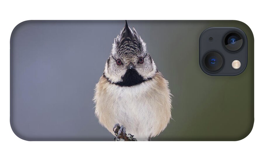 Crested iPhone 13 Case featuring the photograph Crested Tit by Pete Walkden