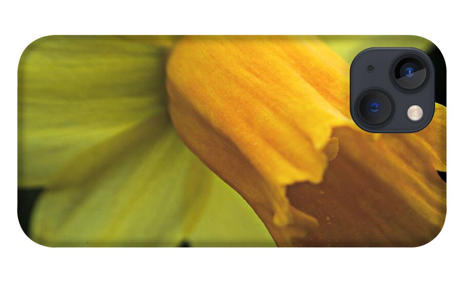 Daffodil iPhone 13 Case featuring the photograph Daffodil - Narcissus - Portrait by Martyn Arnold