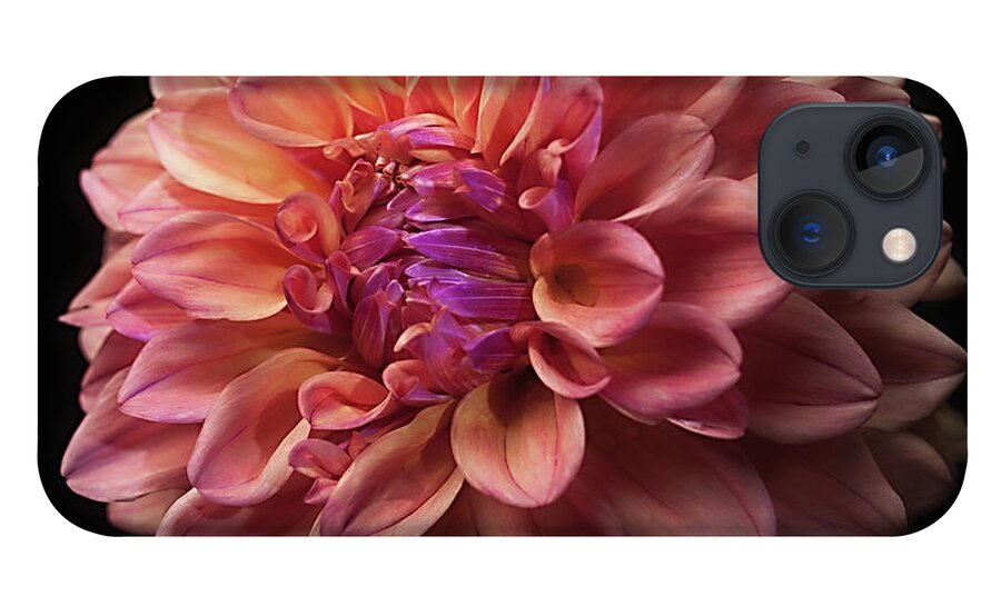 Flower iPhone 13 Case featuring the photograph Dahlia 'Ferncliff Copper' by Ann Jacobson