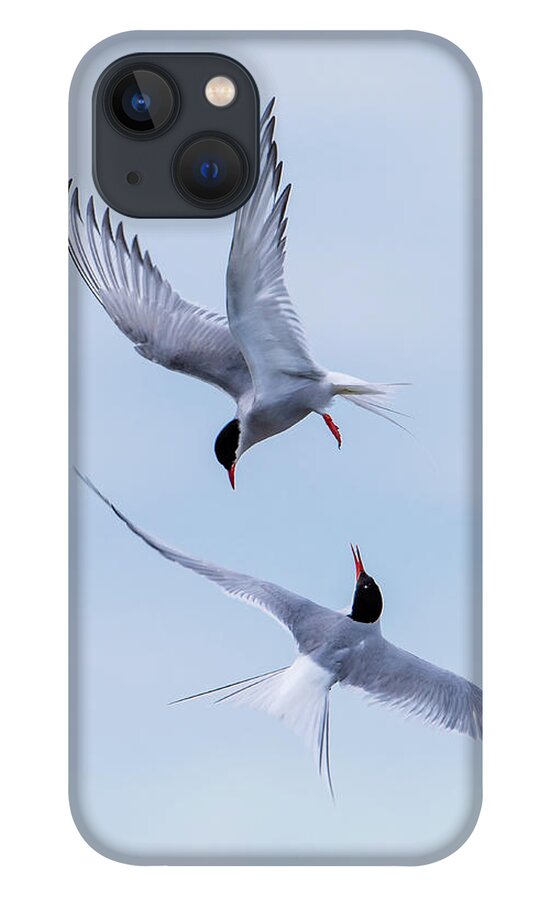 Dancing Arctic Terns iPhone 13 Case featuring the photograph Dancing Arctic Terns by Torbjorn Swenelius