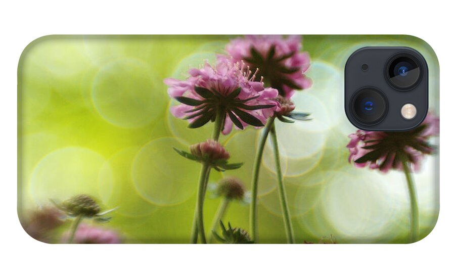 Flowers iPhone 13 Case featuring the photograph Dancing With The Bubbles by Dorothy Lee