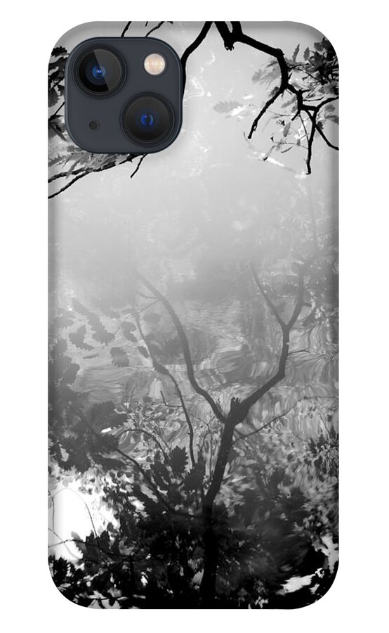 Leaves iPhone 13 Case featuring the photograph Daydream by Dorit Fuhg